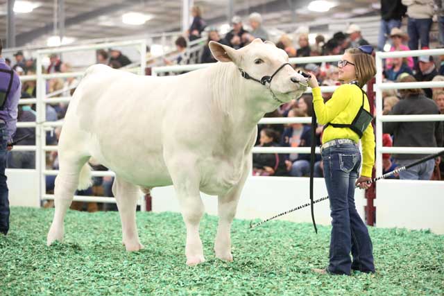 San Antonio Stock Show & Rodeo - FEBRUARY